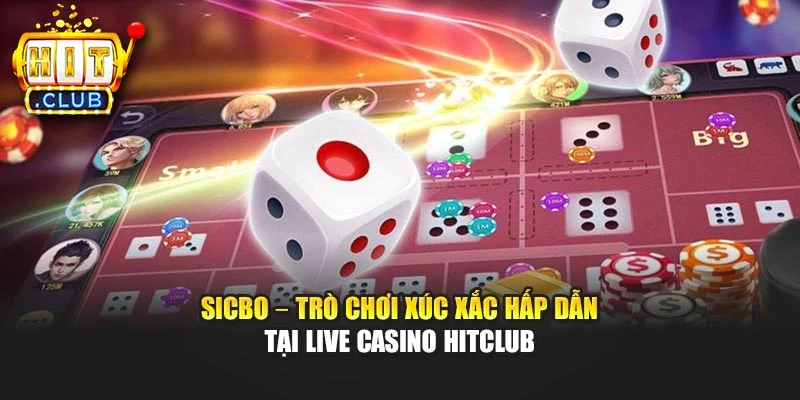 Sicbo – Trò Chơi Xúc Xắc Hấp Dẫn Tại Live Casino Hitclub